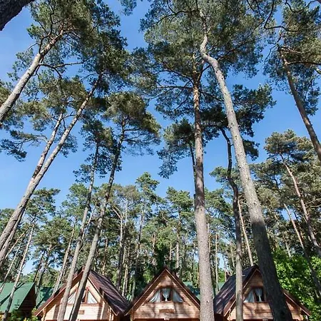 Sosnowa Mila - I Pobierowo