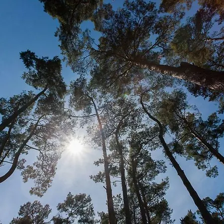 Sosnowa Mila - I Feriehus Pobierowo