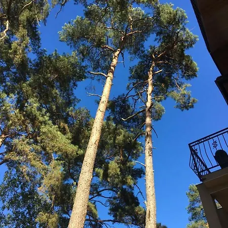 Sosnowa Mila - I * Pobierowo