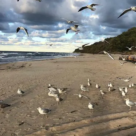 Hébergement de vacances Sosnowa Mila - I Pobierowo