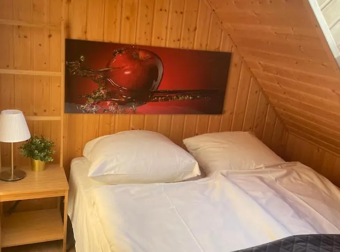 度假居 Sosnowa Mila - I