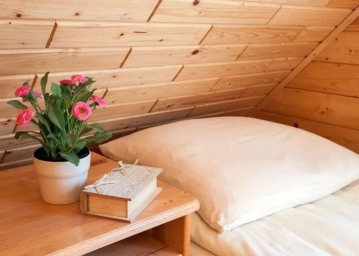 度假居 Sosnowa Mila - I 波别罗沃