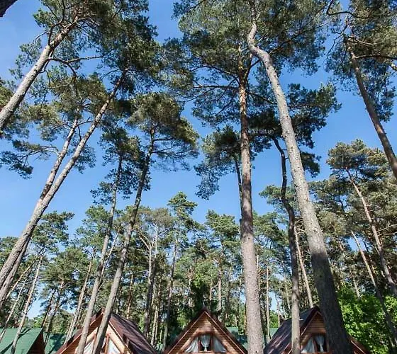 Sosnowa Mila - I 波别罗沃