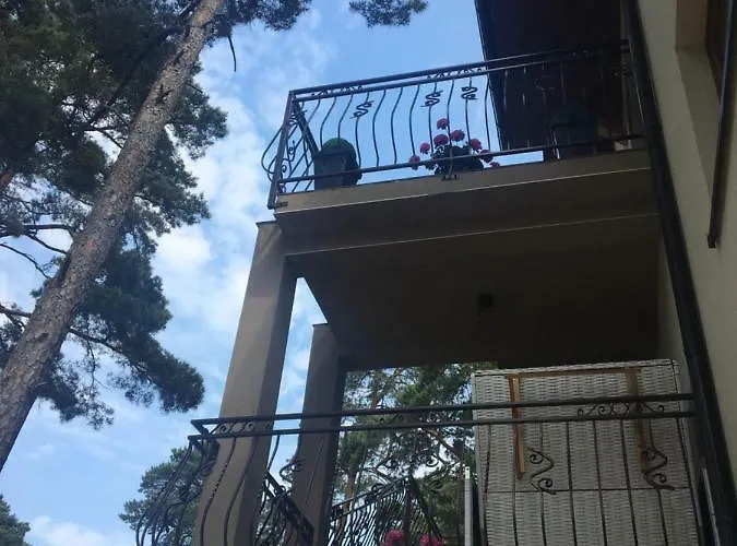 Sosnowa Mila - I * פוביירובו